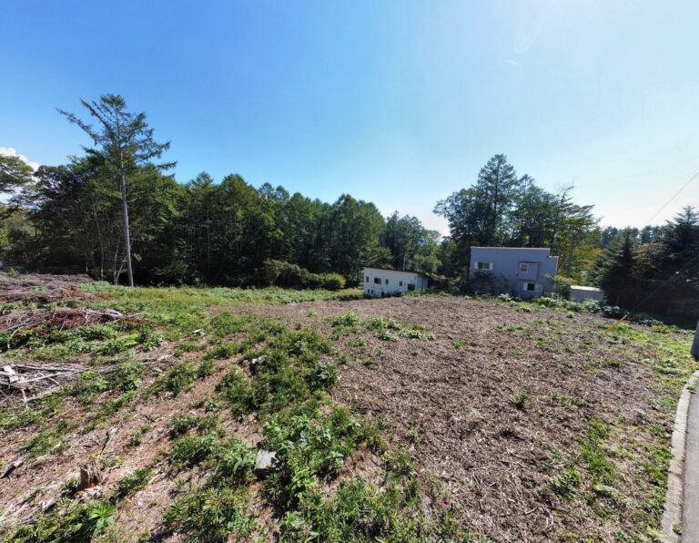 【土地】大泉町西井出、カラマツ通りに広がる陽光あふれる南傾斜地