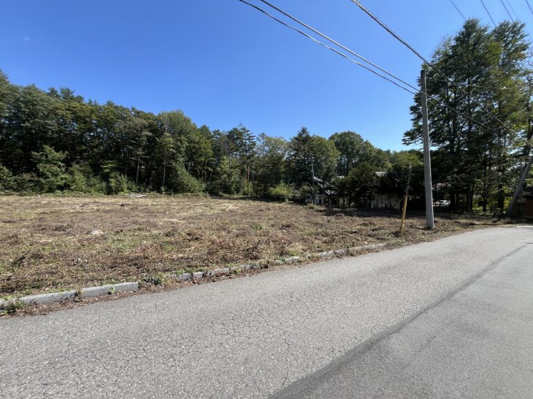 【土地】八ヶ岳南麓、甲斐小泉駅上に広がる別荘地、林間から南アルプスを望む