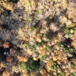 【土地】森に囲まれた5,087㎡の広大な敷地、自由な発想で活用を
