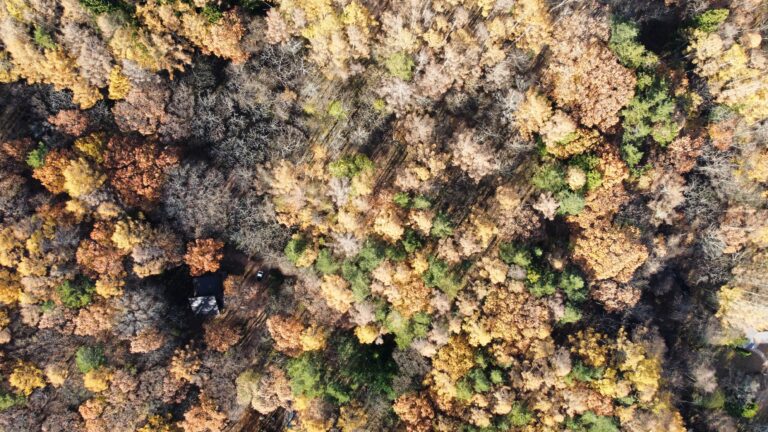 【土地】森に囲まれた5,087㎡の広大な敷地、自由な発想で活用を