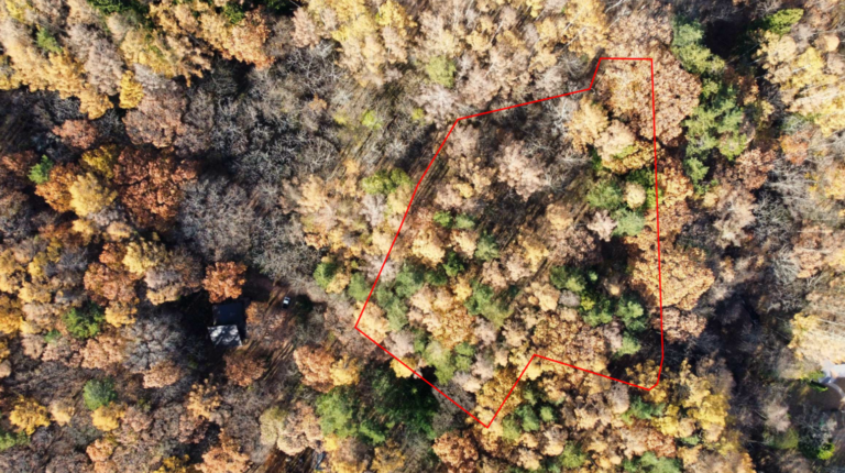 【土地】森に囲まれた5,087㎡の広大な敷地、自由な発想で活用を
