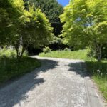 【土地】川のせせらぎと暮らす、川俣川沿いの自由な小さな土地