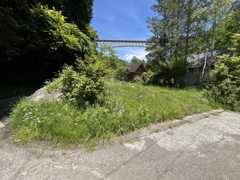 【土地】川のせせらぎと暮らす、川俣川沿いの自由な小さな土地