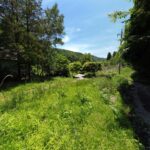 【土地】川のせせらぎと暮らす、川俣川沿いの自由な小さな土地
