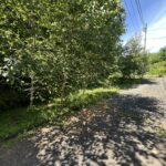 【土地】白樺のある整形地。閑静な白井沢で、ゆとりある別荘ライフを。