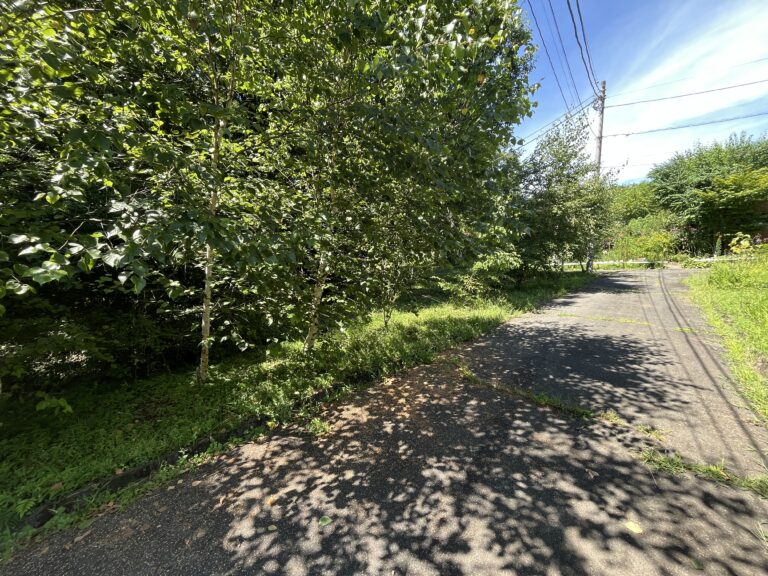【土地】白樺のある整形地。閑静な白井沢で、ゆとりある別荘ライフを。