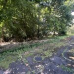 【土地】白樺のある整形地。閑静な白井沢で、ゆとりある別荘ライフを。