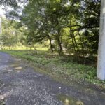 【土地】白樺のある整形地。閑静な白井沢で、ゆとりある別荘ライフを。