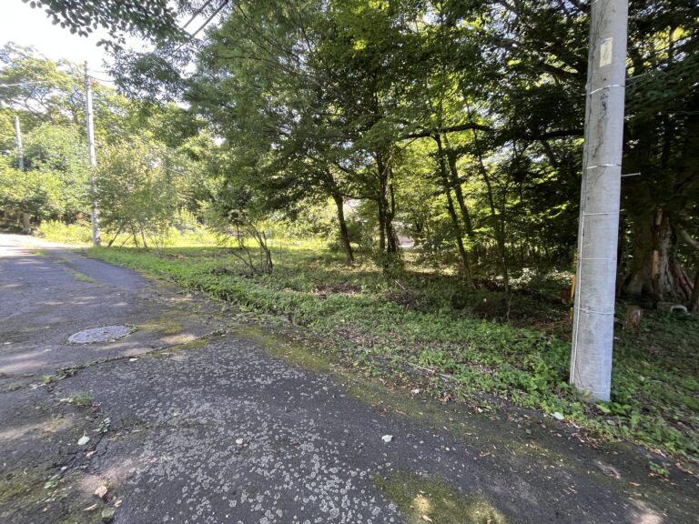 【土地】白樺のある整形地。閑静な白井沢で、ゆとりある別荘ライフを。