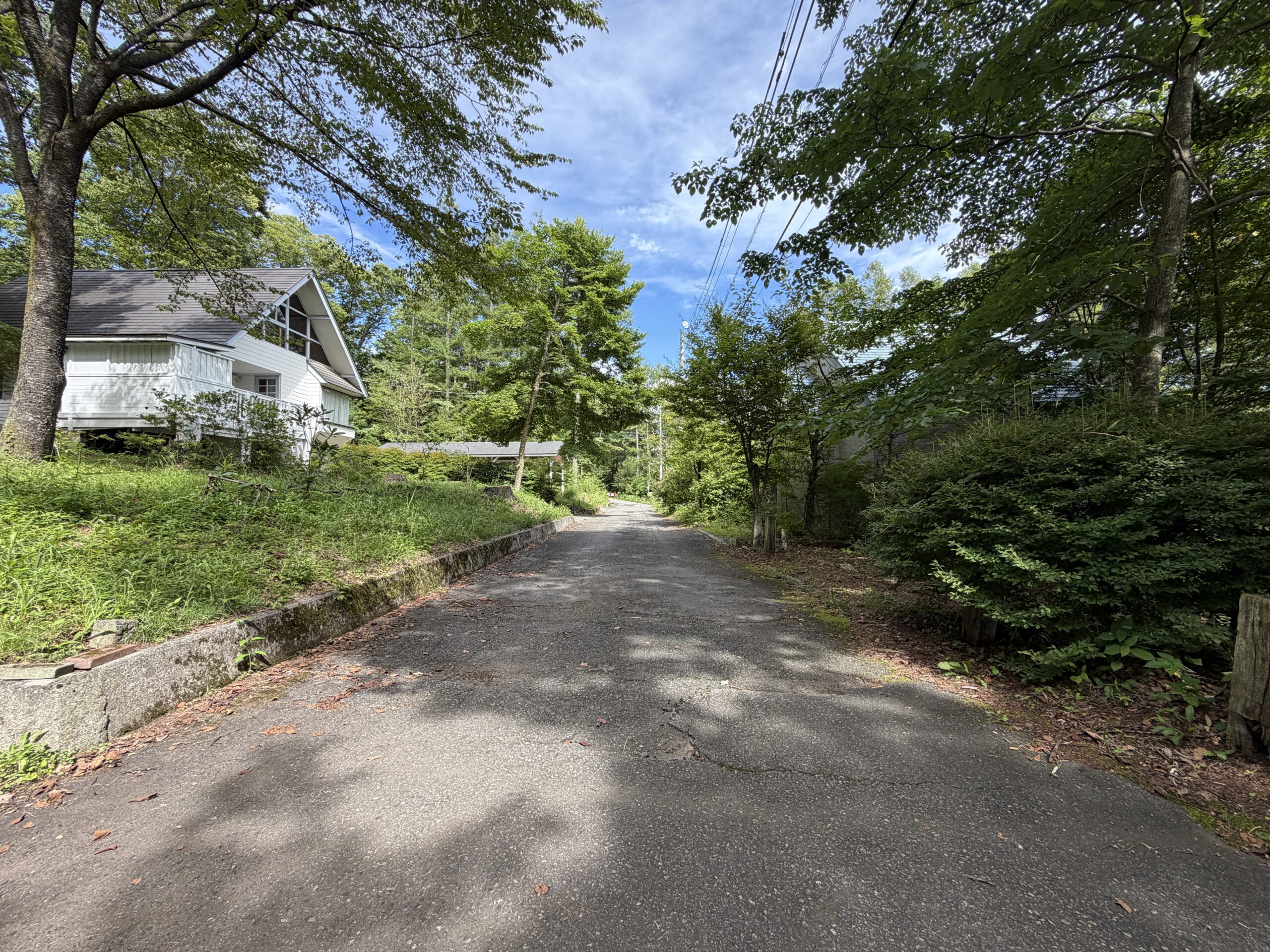 【中古物件】吹き抜けが生み出す開放感。 一部リフォーム済み、アトリエのある住まい。
