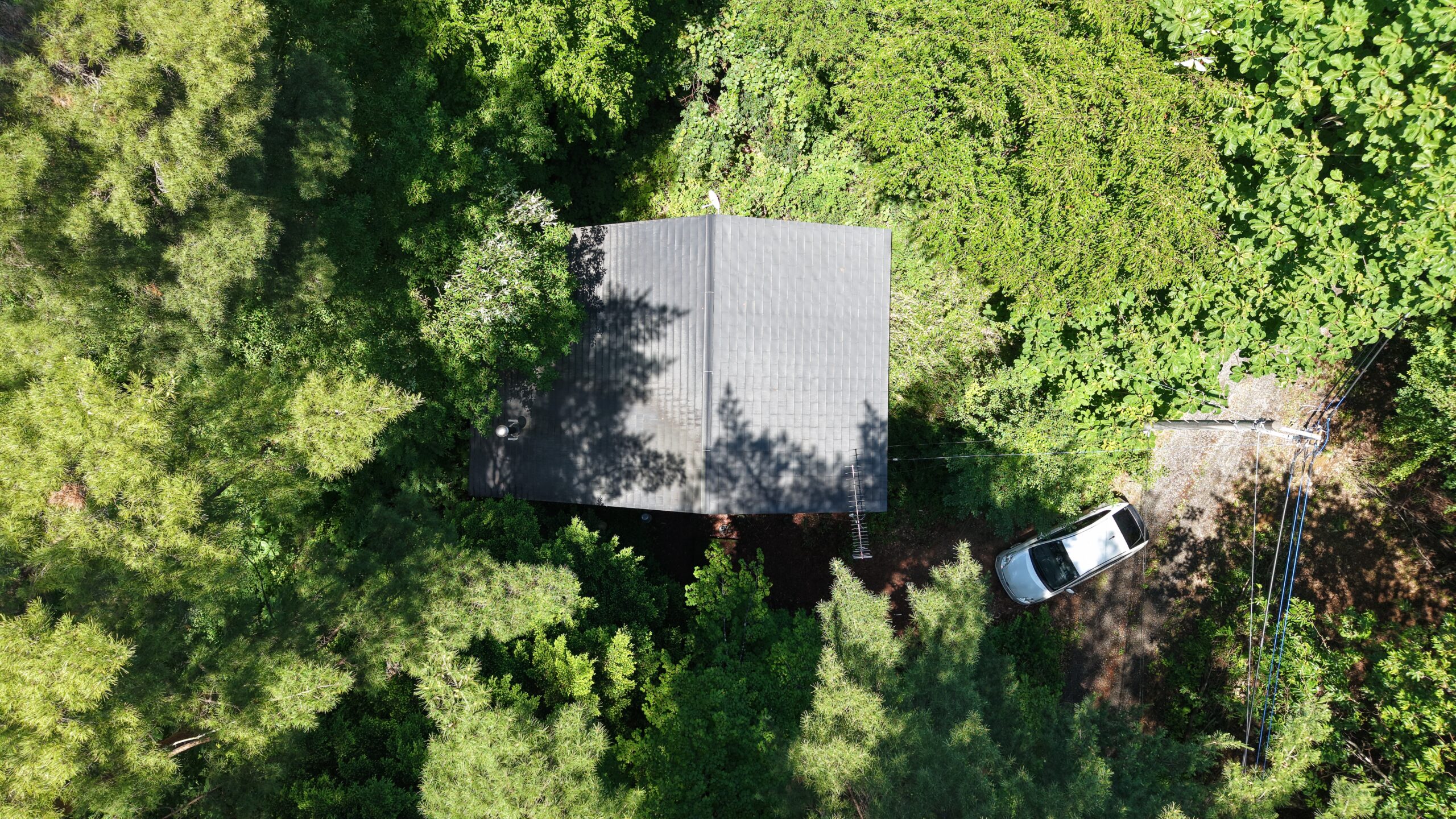 【中古物件】木々に包まれた静かな住環境。 木のぬくもりを感じる、3LDK＋地下室付きの住まい。