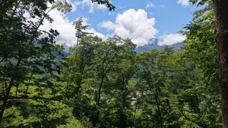 【中古物件】木々に包まれた静かな住環境。 木のぬくもりを感じる、3LDK＋地下室付きの住まい。