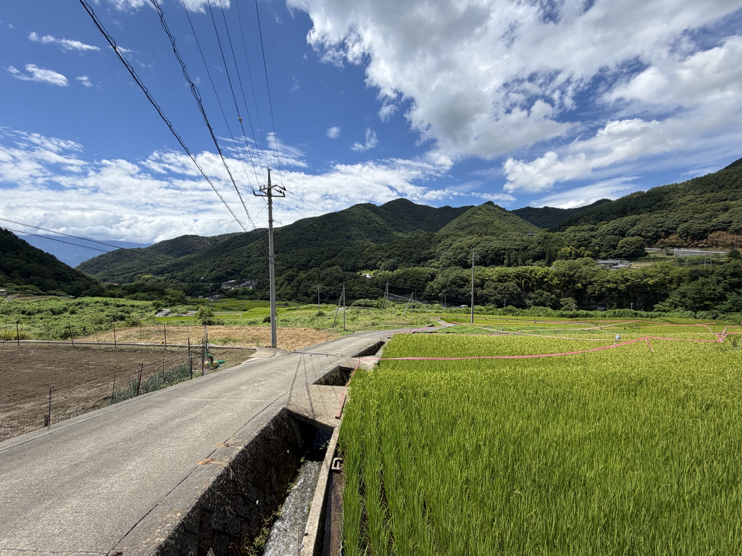 【中古物件】高台から田園と南アルプスを望む。 里山の風景に溶け込む、趣ある古民家。