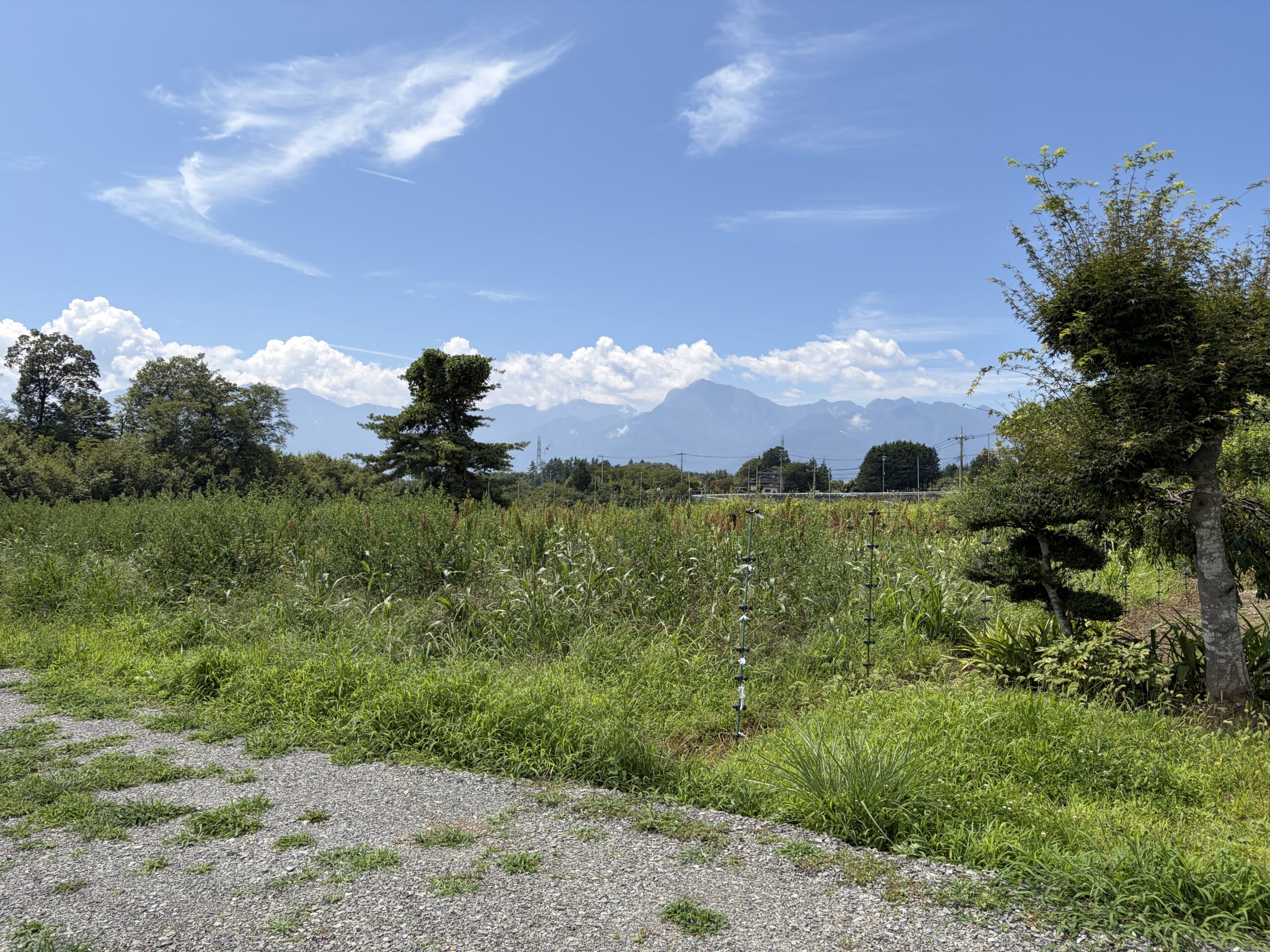 【土地】八ヶ岳を背に、南アルプスを望む。 陽当たりと開放感に恵まれた、白井沢の平坦地。