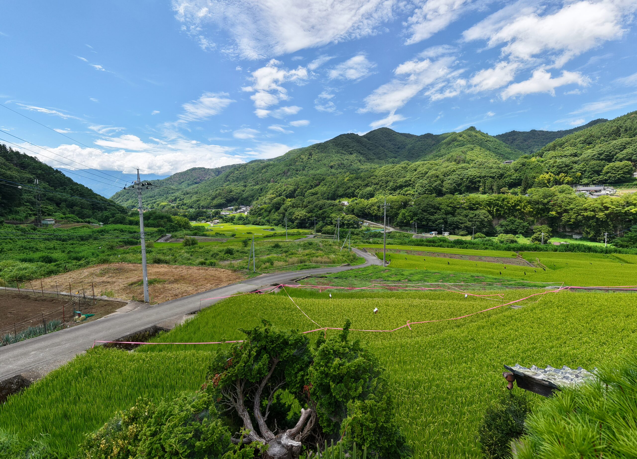 【中古物件】高台から田園と南アルプスを望む。 里山の風景に溶け込む、趣ある古民家。