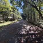 【土地】標高約1,460ｍ、八ヶ岳高原の森に佇む。 海の口自然郷、約1,000坪の広大な南東角地。