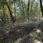 【土地】清里の木々に包まれる、静かな高原時間。 別荘管理地内に佇む、約220坪のゆとりある土地。