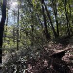【土地】清里の木々に包まれる、静かな高原時間。 別荘管理地内に佇む、約220坪のゆとりある土地。