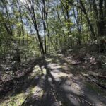 【土地】清里の木々に包まれる、静かな高原時間。 別荘管理地内に佇む、約220坪のゆとりある土地。