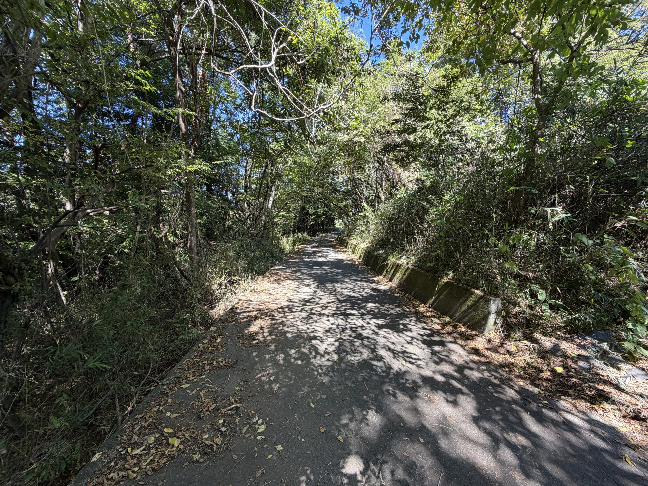 【土地】道路より一段高い、富士山を望む開放的な土地。 ゆとりある敷地と眺望を楽しむ、村山西割の一画