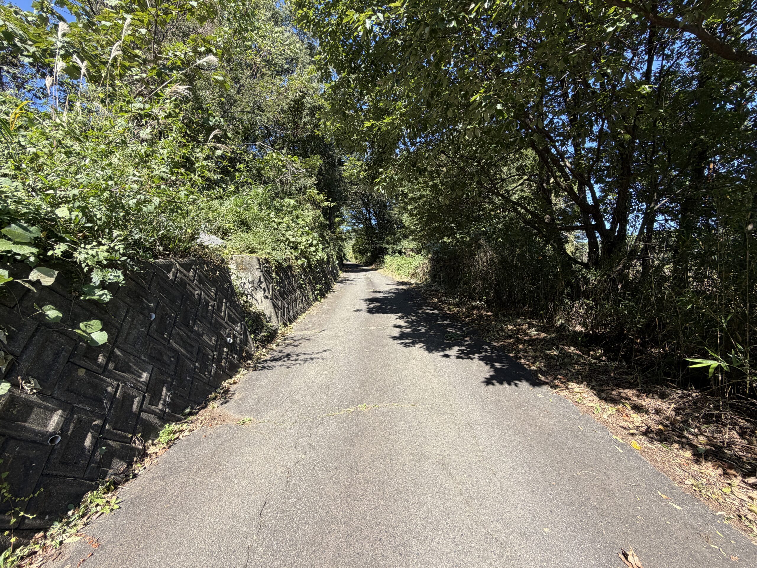 【土地】道路より一段高い、富士山を望む開放的な土地。 ゆとりある敷地と眺望を楽しむ、村山西割の一画