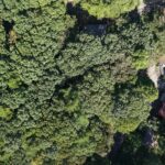 【土地】清里の木々に包まれる、静かな高原時間。 別荘管理地内に佇む、約220坪のゆとりある土地。
