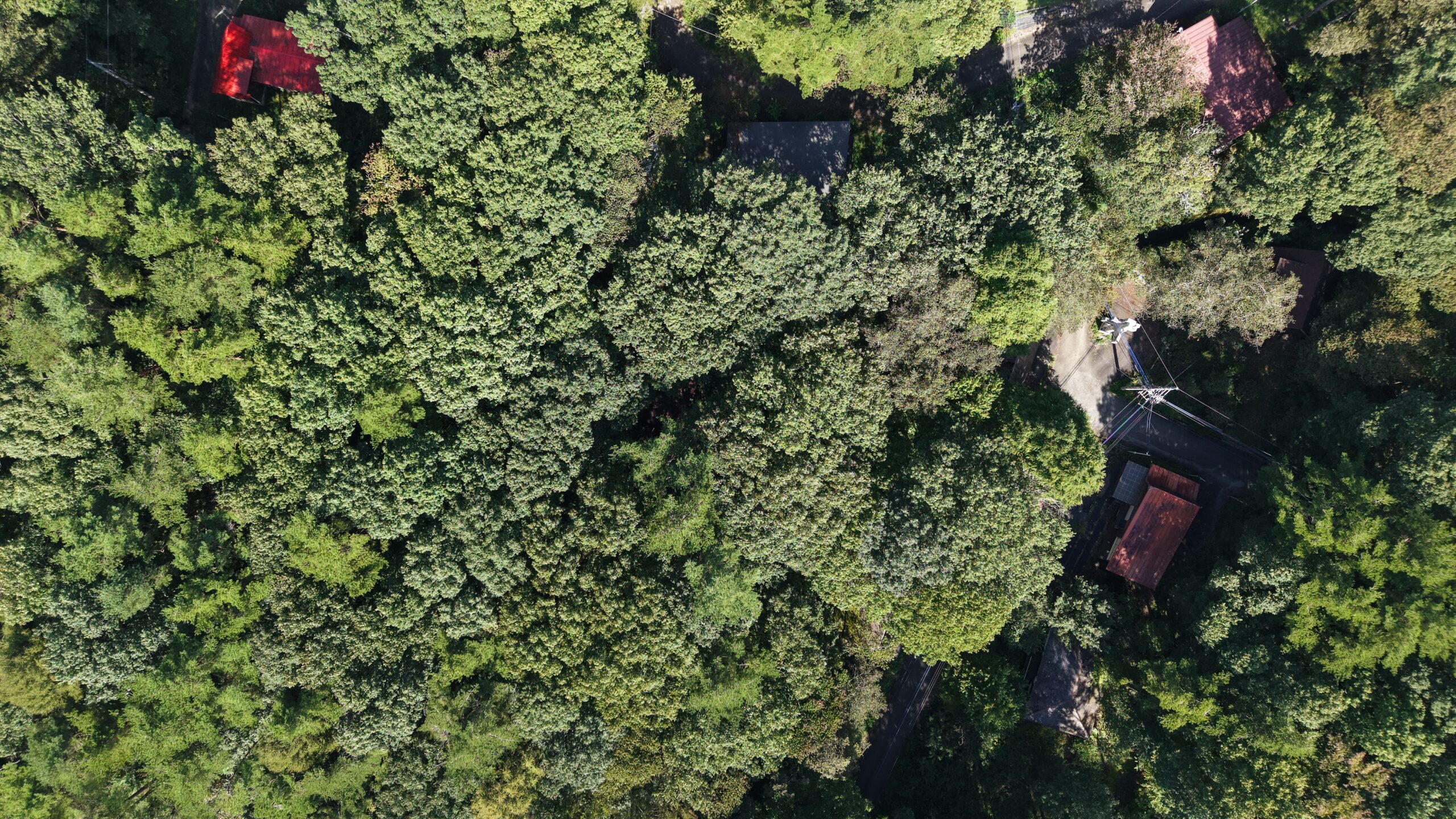【土地】清里の木々に包まれる、静かな高原時間。 別荘管理地内に佇む、約220坪のゆとりある土地。