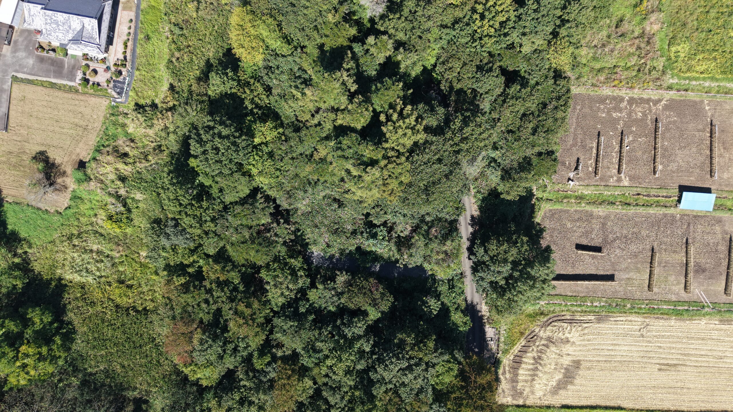 【土地】道路より一段高い、富士山を望む開放的な土地。 ゆとりある敷地と眺望を楽しむ、村山西割の一画